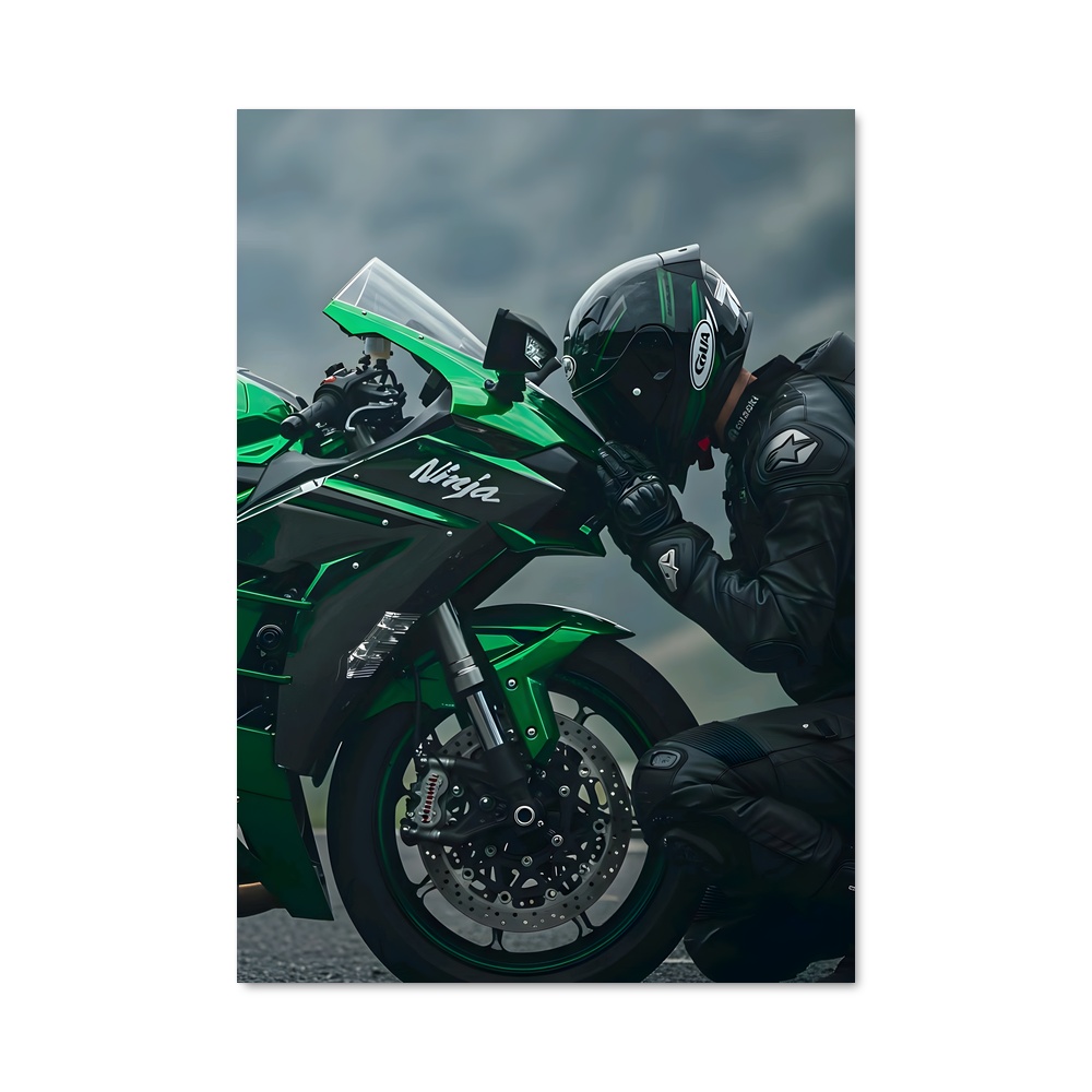 Poster Ninja Furtif H2R
